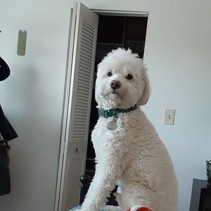 Meet your Posher, Ursula